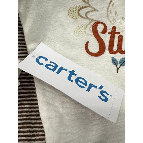 Carter's One Piece With Pants Long Sleeve "Totally Stuffed" Turkey Cream NB NWT - Picture 7 of 8